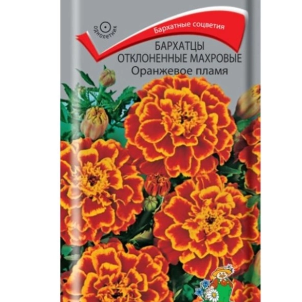 Бархатцы махровые отклон. Оранжевое пламя ЦВ 0,4гр.