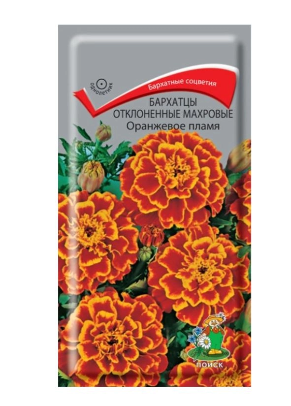 Бархатцы махровые отклон. Оранжевое пламя ЦВ 0,4гр.