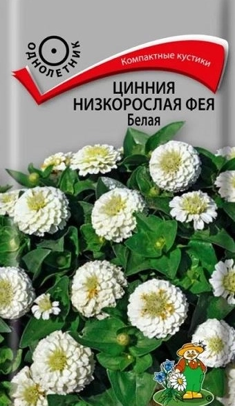 Цинния низкорослая Фея Белая ЦВ 0,1гр.