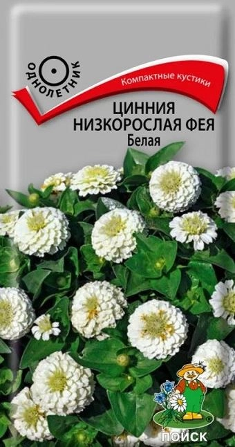 Цинния низкорослая Фея Белая ЦВ 0,1гр.