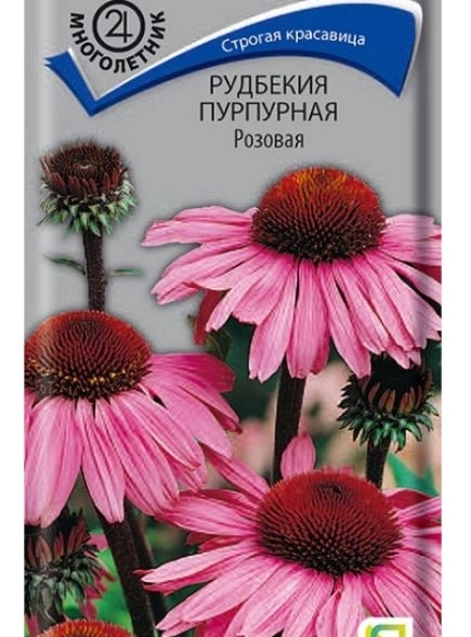 Рудбекия(Эхинацея) пурпурная Розовая ЦВ 0,1гр