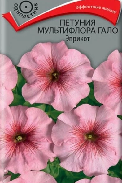 Петуния мультифлора Гало Эприкот (ЦВ)10шт