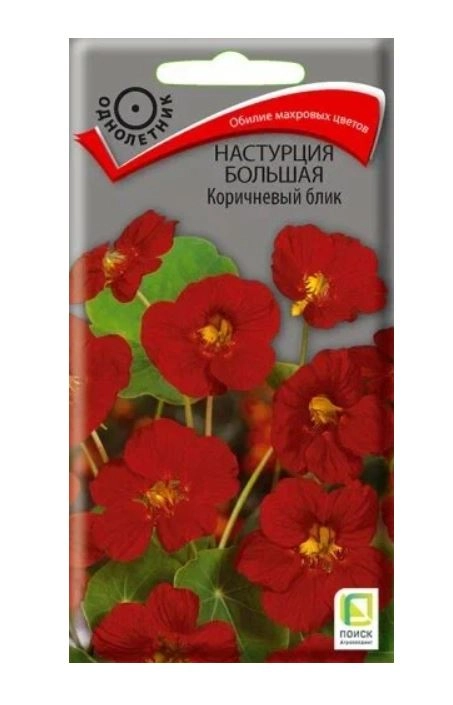 Настурция большая Коричневый блик ЦВ 1гр