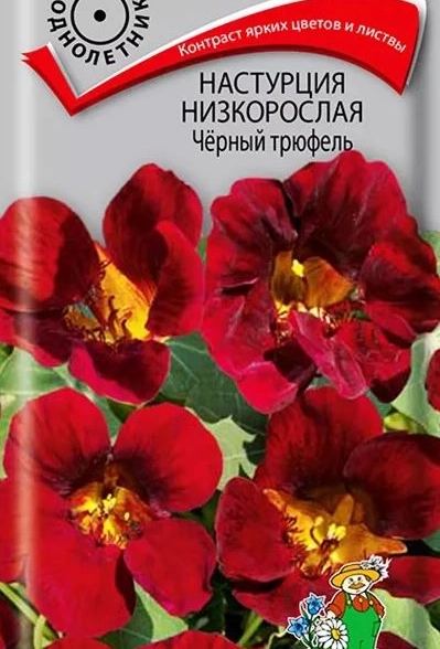 Настурция низкорослая Черный трюфель ЦВ 1гр.