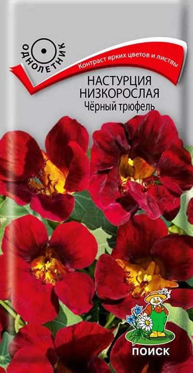 Настурция низкорослая Черный трюфель ЦВ 1гр.