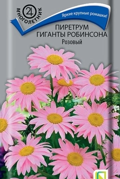 пиретрум Гиганты Робинсона Розовый (ЦВ))М) 0,1гр