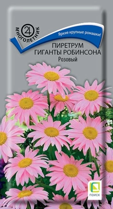 пиретрум Гиганты Робинсона Розовый (ЦВ))М) 0,1гр