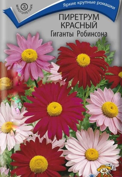 Пиретрум красный Гиганты Робинсона (ЦВ)(М)0,2гр