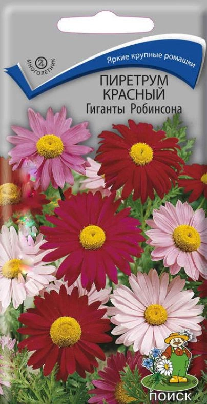 Пиретрум красный Гиганты Робинсона (ЦВ)(М)0,2гр
