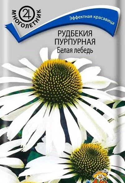 Рудбекия(Эхинацея) пурпурная Белая лебедь (ЦВ) (М) 0,1гр
