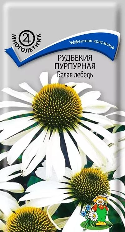 Рудбекия(Эхинацея) пурпурная Белая лебедь (ЦВ) (М) 0,1гр