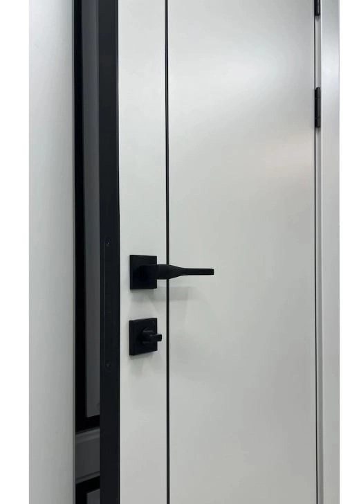 Дверь Line Молдинг 4 70*200 эмалит серый AL-black с 4-х ст
