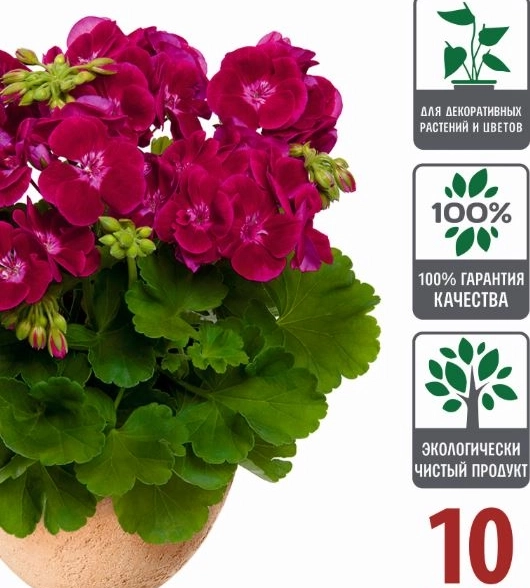 Грунт Царица Цветов для комнат.оранж. и декор.цветов 10л