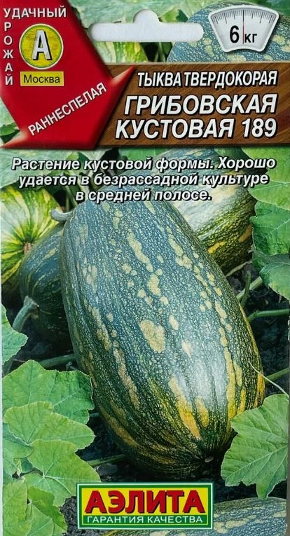 Тыква Грибовская кустовая Аэлита Ц