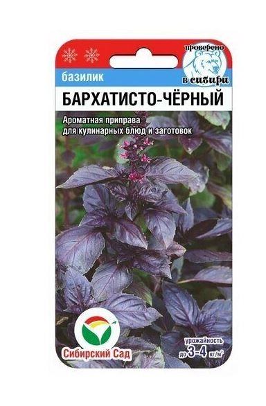 Базилик Бархатисто-черный СибСад Ц