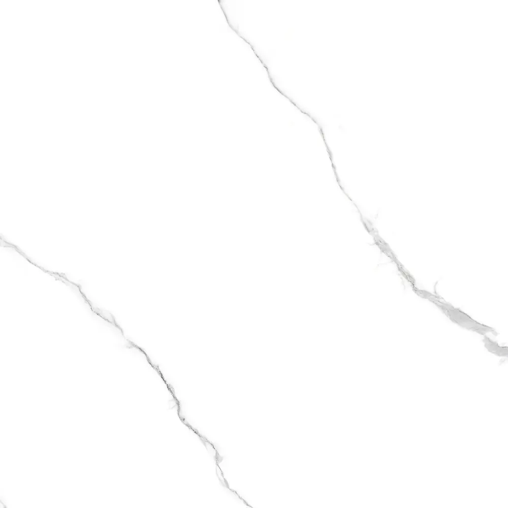 Керамогранит Белый с прожилками/Bianco Venatino 60*60 R-image-1