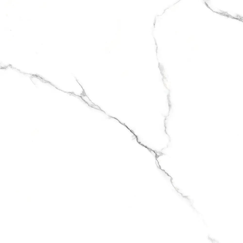 Керамогранит Белый с прожилками/Bianco Venatino 60*60 R-image-2