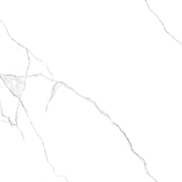 Керамогранит Белый с прожилками/Bianco Venatino 60*120 R