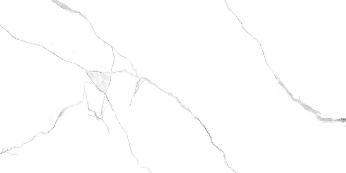 Керамогранит Белый с прожилками/Bianco Venatino 60*120 R