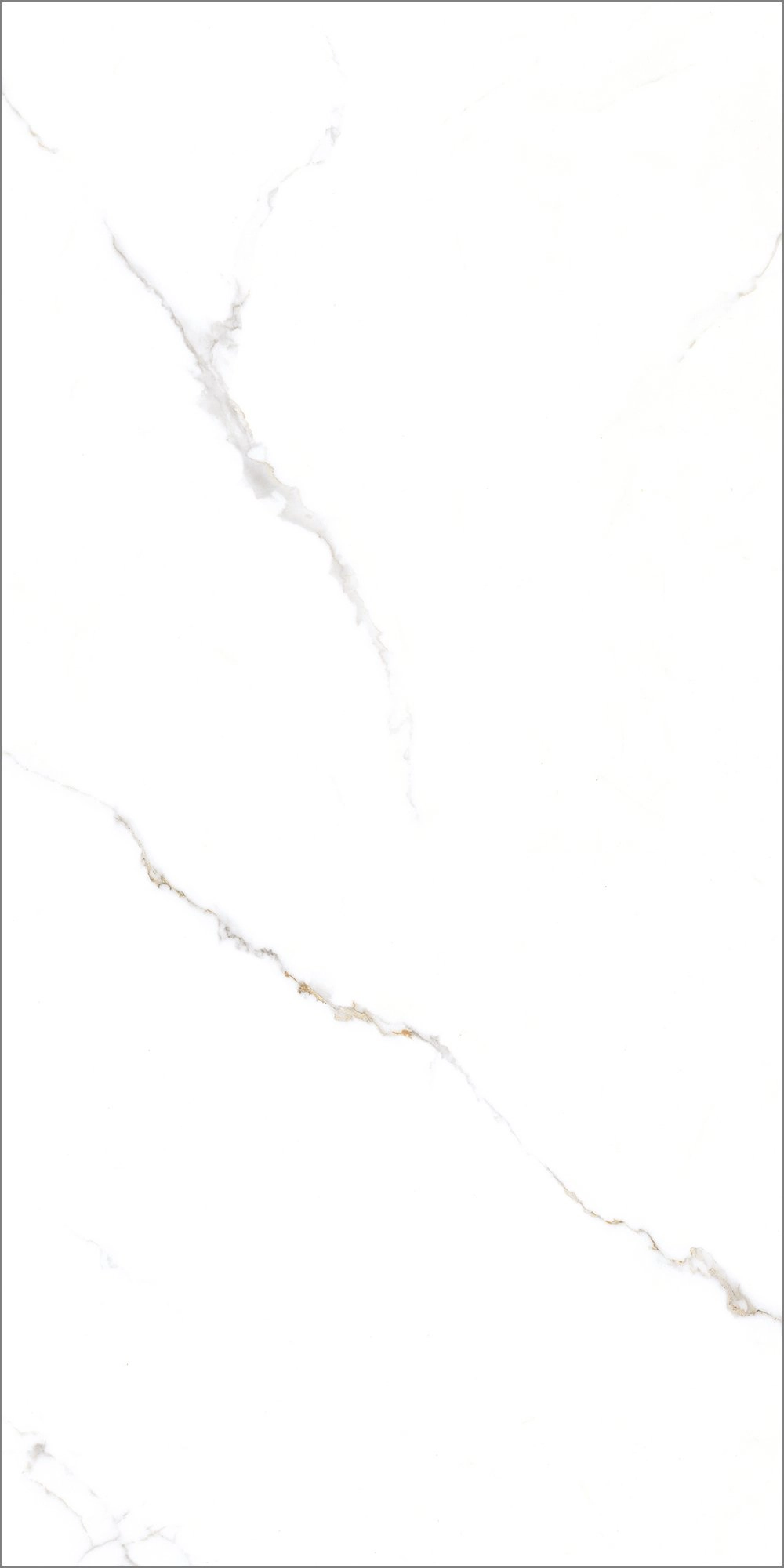 Керамогранит Корус/Corus GT 60*120 бел.GT1206015103PR
