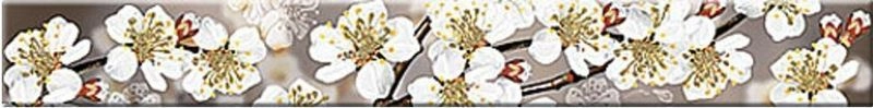 Бордюр Амати Сакура/Amati Sakura 50,5*6,2