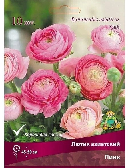 Лютик азиатский Пинк 7-8/К 10шт
