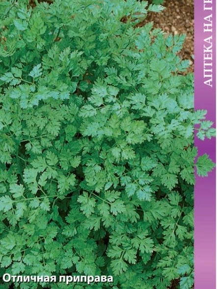 Кервель Ажурный А/ЦВ 0,5гр