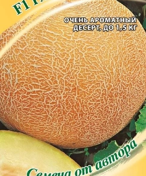 Дыня Галилей Гавриш Ц