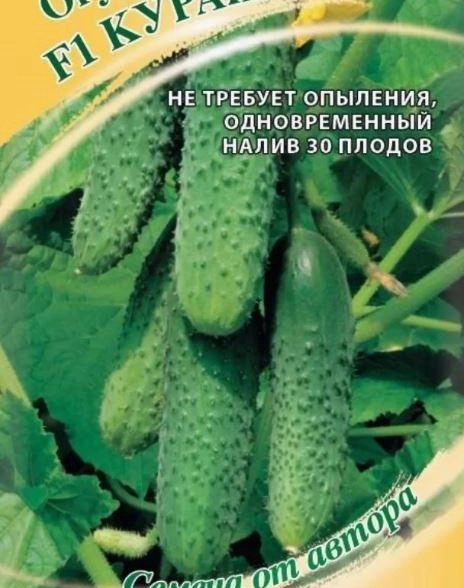 Огурец Кураж Гавриш Ц