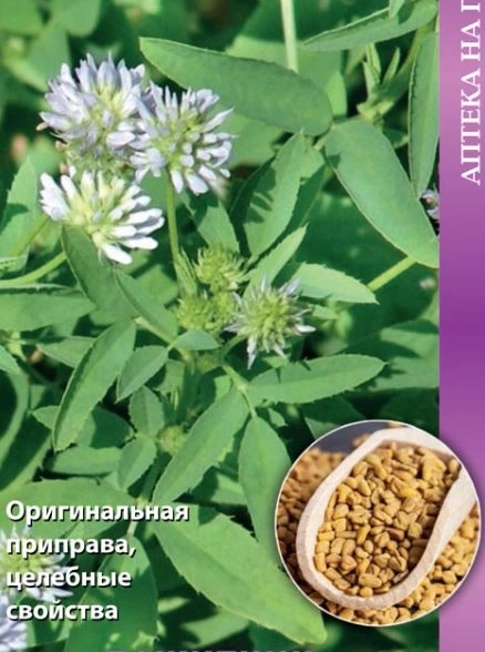 Пажитник Гурман 20шт