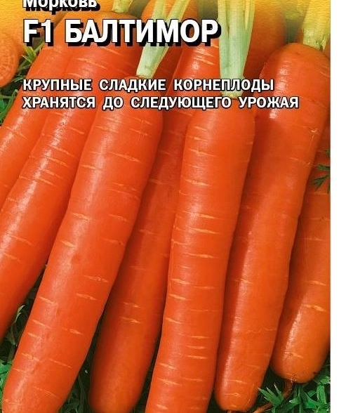 Морковь Балтимор ГАВРИШ Ц