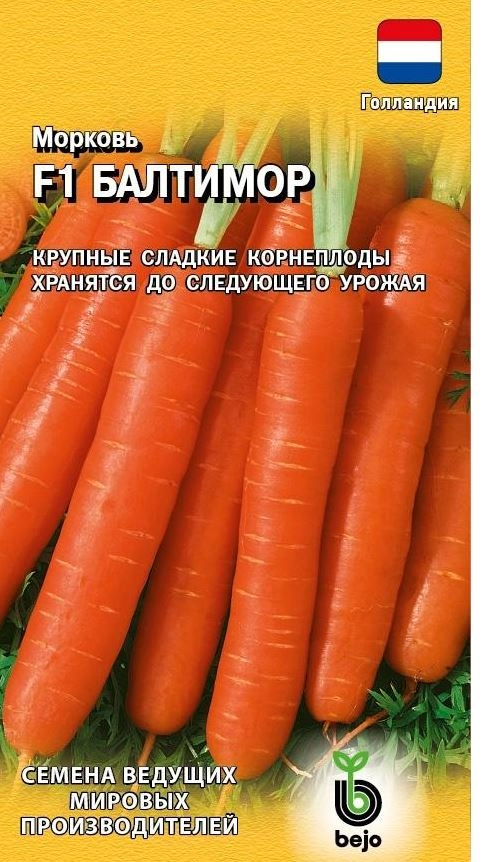 Морковь Балтимор ГАВРИШ Ц