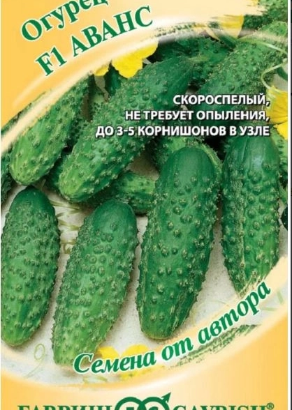 Огурец Аванс Гавриш Ц