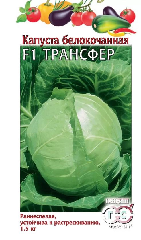 Капуста Трансфер Гавриш Ц