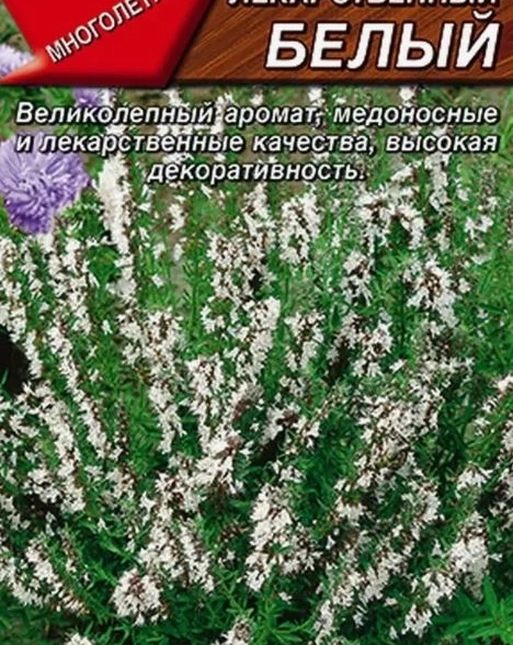 Иссоп лекарственный белый 0.1г