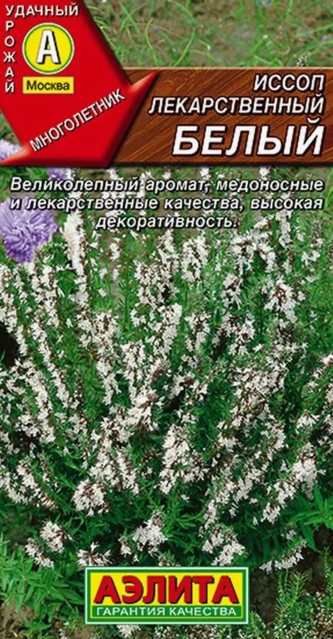 Иссоп лекарственный белый 0.1г