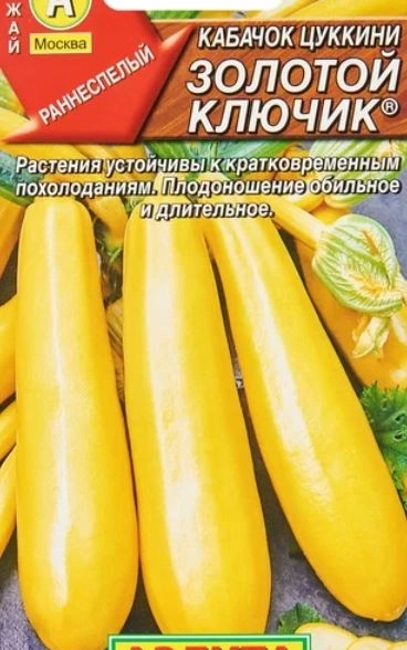 Кабачок цуккини Золотой ключик -1г