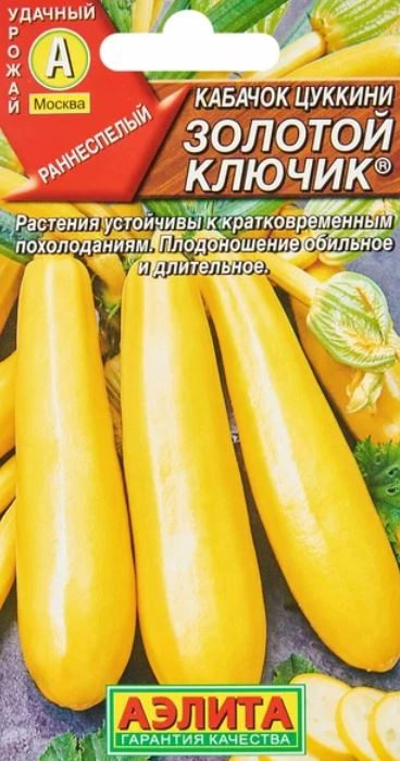 Кабачок цуккини Золотой ключик -1г