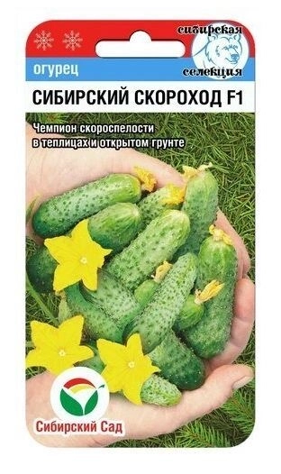 Огурец Сибирский Скороход Сиб.Сад Ц