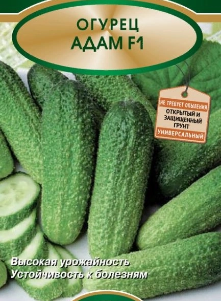 Огурец Адам F1 390703