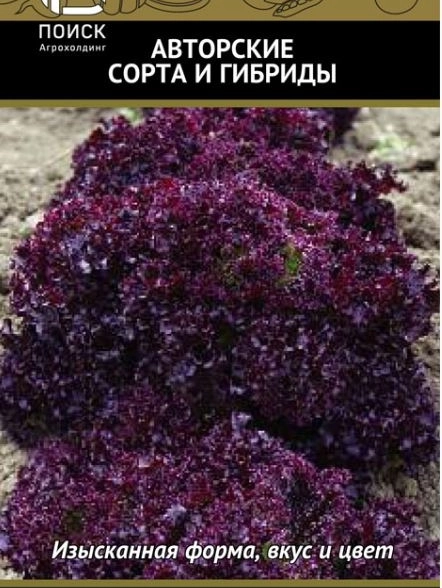 Салат Гранатовые кружева (А) 671125