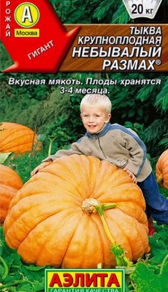 Тыква Небывалый размах крупная