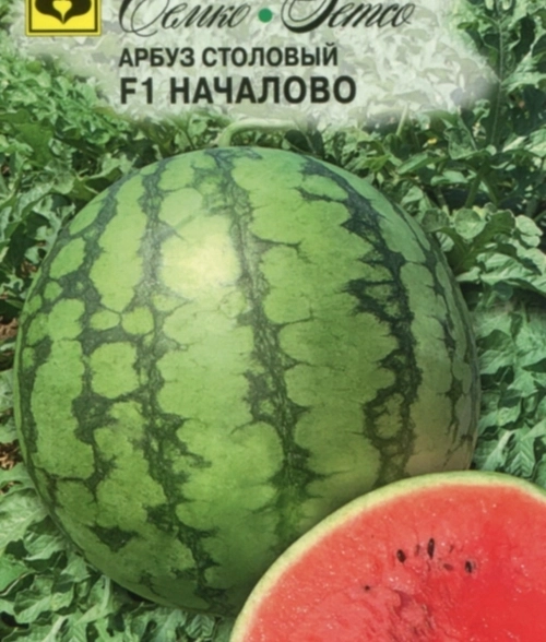 Арбуз Началово Семко