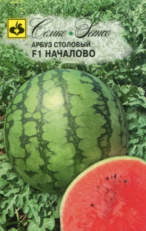 Арбуз Началово Семко
