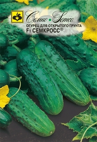 Огурец Семкросс Семко