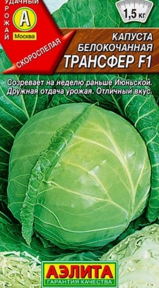 Капуста б/к Трансфер F1 0,1г