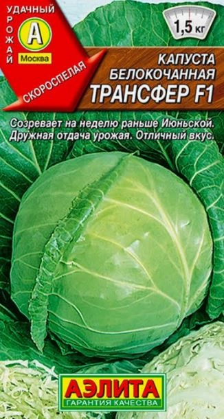 Капуста б/к Трансфер F1 0,1г