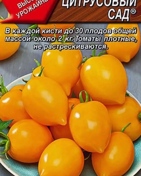 Томат Цитрусовый сад Аэлита Ц