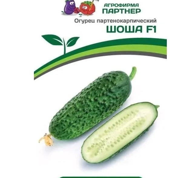 Огурец Шоша 5шт Партнер Ц