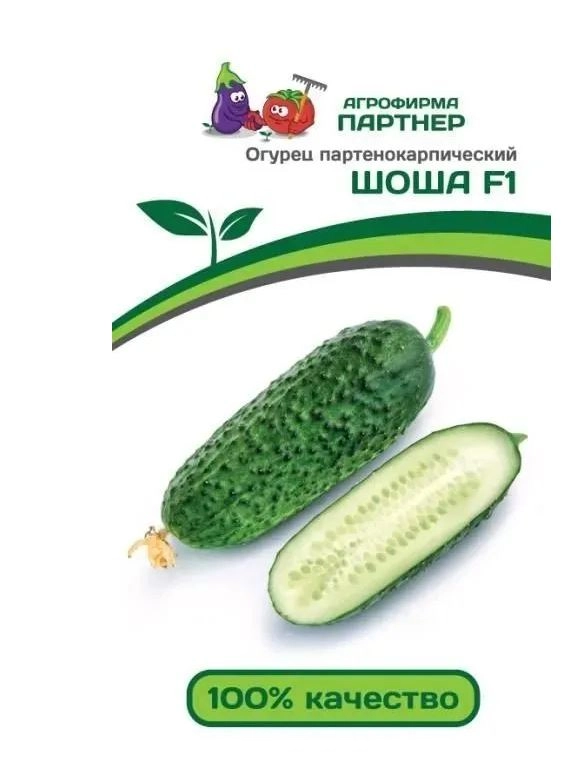 Огурец Шоша 5шт Партнер Ц